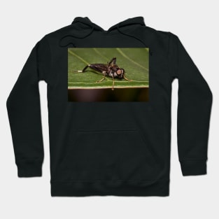 Soldier Fly Hoodie